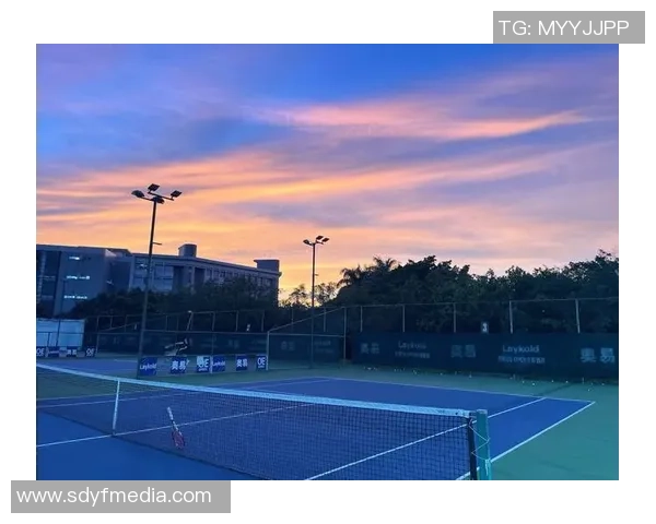 广州网球队技术争议引发热议球迷与专家各抒己见探讨未来发展方向